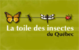 La toile des insectes du Québec