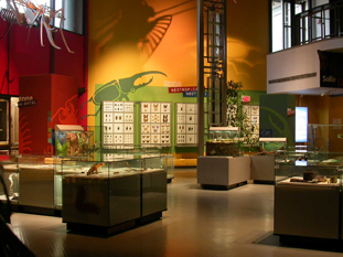 Exhibitions and Collections