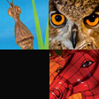 Nature Package