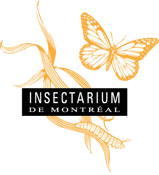 Logo de l'Insectarium de Montréal