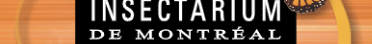Insectarium de Montr�al