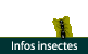 Infos insectes