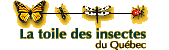 Logo de La toile des insectes