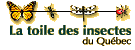 Logo : La toile des insectes du Québec