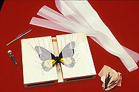 Papillon �tal� et mat�riel