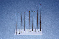 Aiguilles entomologiques