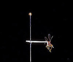 Position id�ale d'un insecte sur le triangle