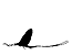 &Eacute;ph&eacute;m&egrave;re