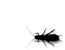 Perlide