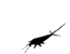 L&eacute;pisme