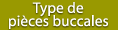 Type de pi&egrave;ces buccales