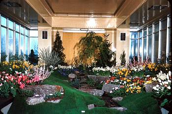 Exposition florale printani�re - 1954