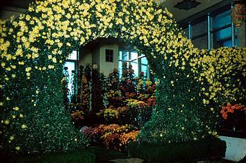 Exposition florale automnale - 1954