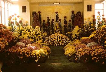 Exposition florale automnale - 1954
