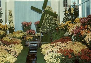 Exposition florale automnale - 1954