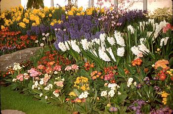 Exposition florale printani�re - 1956