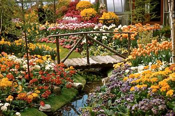Exposition florale printani�re - 1956