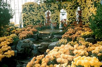 Exposition florale automnale - 1957