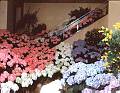 Jardin botanique de Montr�al