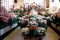 Jardin botanique de Montr�al