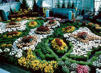 Esposition thmatique automnale: Jardin moscovite (URSS) - 1964