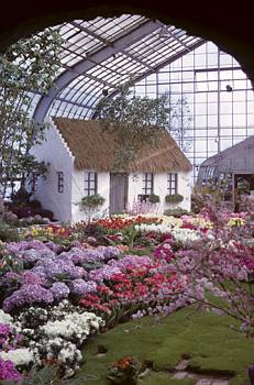 Exposition th�matique printani�re: La verte �rin (Irlande) - 1971