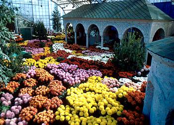 Exposition th�matique automnale: Jardin d'un monast�re bulgare - 1971