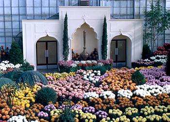 Exposition th�matique automnale: L'Inde fleurie - 1972