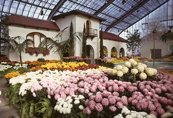 Exposition th�matique automnale: Fiesta mexicana - 1973