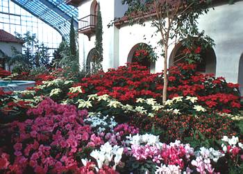 Exposition de No�l - 1973