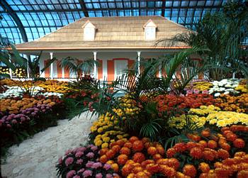 Exposition th�matique automnale: Les Antilles fran�aises - 1974
