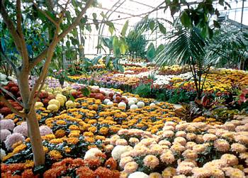 Exposition th�matique automnale: Les Antilles fran�aises - 1974