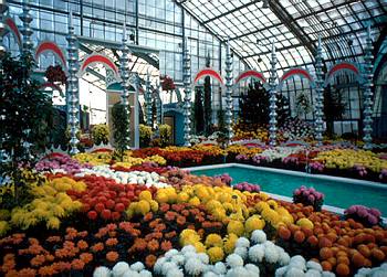 Exposition th�matique automnale: Dans un jardin d'Iran - 1975