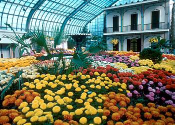 Exposition th�matique automnale: La Nouvelle-Orl�ans - 1976