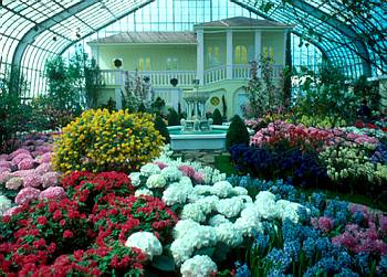 Exposition th�matique printani�re: La Tch�coslovaquie en fleurs - 1977