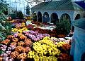 Rom�o Meloche