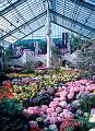 Rom�o Meloche