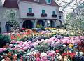 Rom�o Meloche