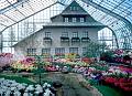 Rom�o Meloche