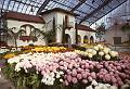 Rom�o Meloche
