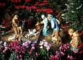 Rom�o Meloche