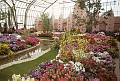 Rom�o Meloche