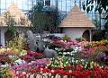 Rom�o Meloche