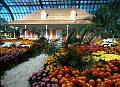 Rom�o Meloche