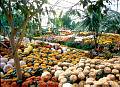 Rom�o Meloche
