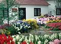 Rom�o Meloche