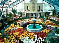 Rom�o Meloche
