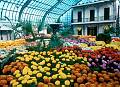 Rom�o Meloche