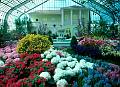 Rom�o Meloche