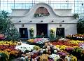 Rom�o Meloche